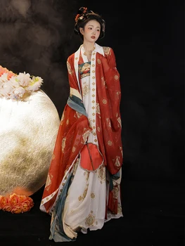 Костюм за сценичното представяне на Tang System Оригинална Дамска Риза Hanfu с Голям ръкав Дължина до гърдите, на Бродирани В Пролетно-Летен Стил