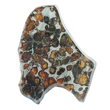 23,1 гр Парчета от маслиново метеорит SERICHO Pallasite Натурален Метеоритен материал Проби маслиново метеорит - От Кения - CA53